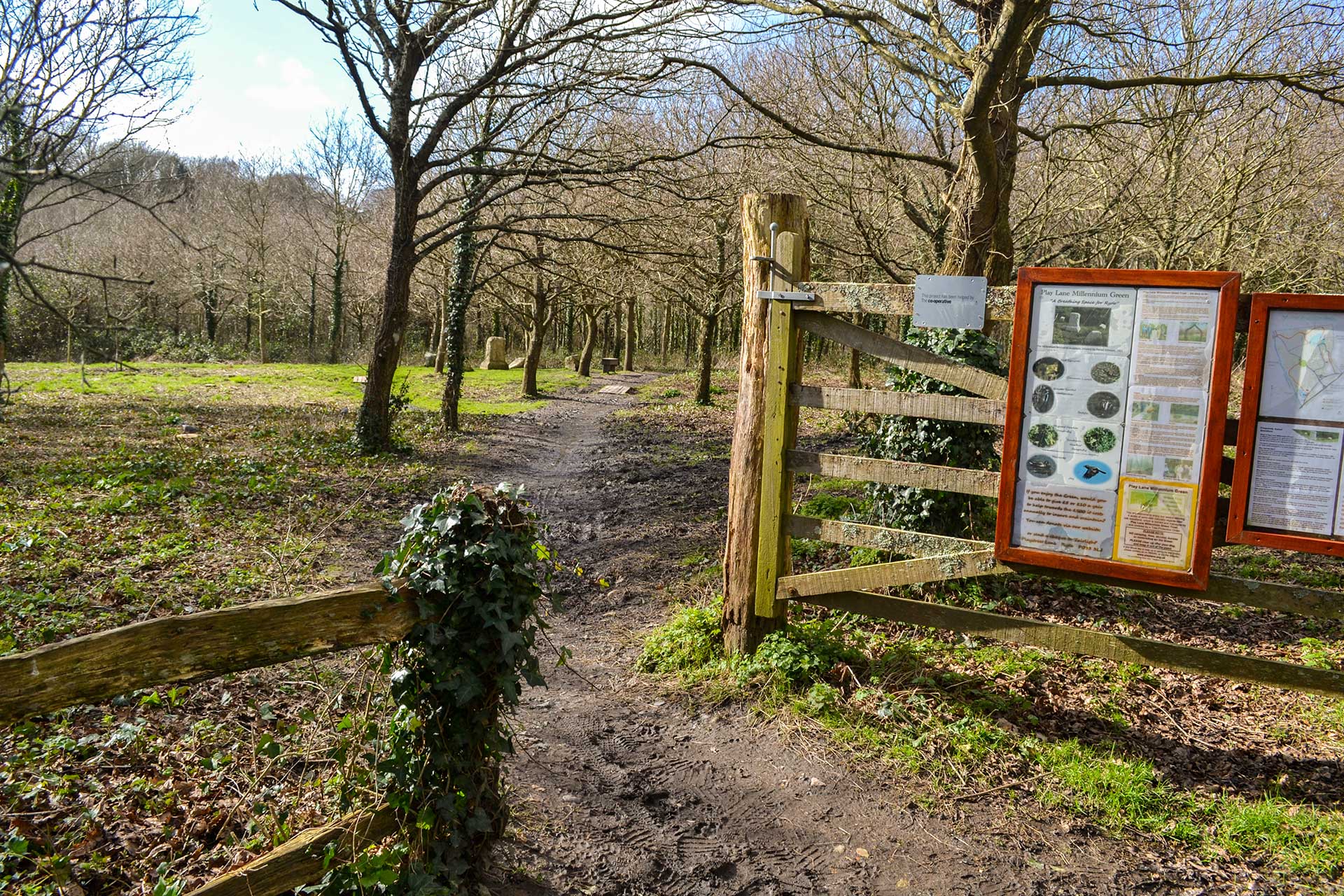 Nominate Play Lane Millennium Green in the ‘Movement For Good’ festive financial boost!